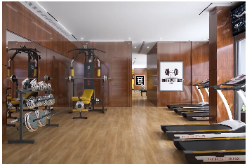 MICL Project Ghatkopar Gym